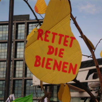 Schild: Rettet die Bienen.