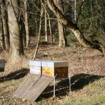 MET HONIGWEIN, Zwei Bienenvölker von Imkerei Oswald im Winter.
