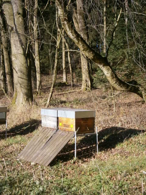 MET HONIGWEIN, Zwei Bienenvölker von Imkerei Oswald im Winter.