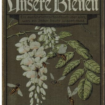Vorderseite eines Imkerbuches, das eine farbige Illustration von Bienen zeigt, welche eine Robinienblüte befliegen, um aus dem Nektar Robinienhonig (Akazienhonig) zu bereiten. Der Buchdeckel ist im Jugenstil gestaltet.