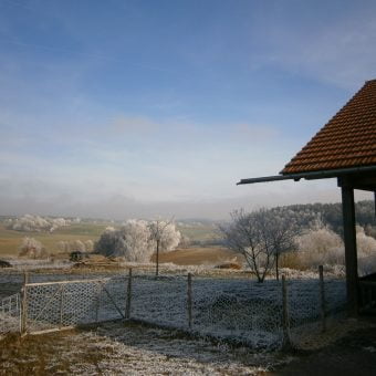 Echtes Bienenwachs: Winter in Deutschland. Anfang 2016