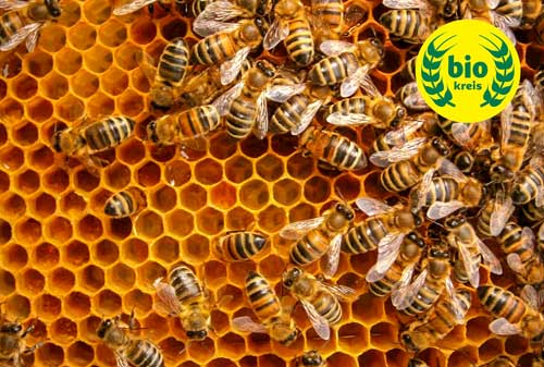 Bienen Pollen Grip Saugen Edelstahl Imkerei Ausrüstung Bauernhof Imker Bien I1I1 