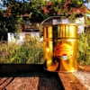 Ein frisch gefülltes Honigeimerchen aus goldenem Weissblech.