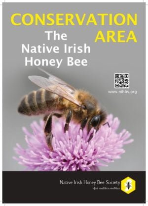 Ein Hinweisschild für ein Schutzgebiet für einheimische Dunkle Bienen in Irland.