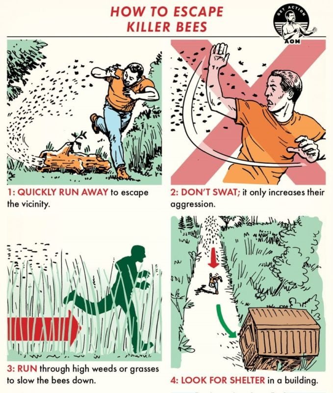Verhaltensweisen bei einem Bienenangriff in Comiczeichnungen von der Webseite artofmanliness.com