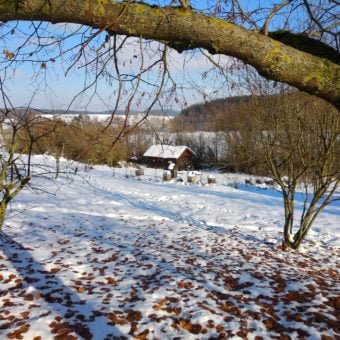 Bienenhaus von Imker Oswald im Hügelland im Schnee.