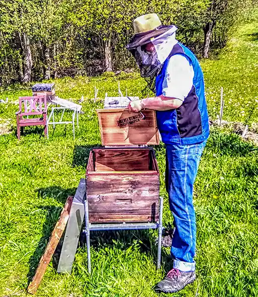 Berufsimker Hans Georg Oswald bei der Vorbereitung von Bienenkästen für die Einlogierung von Bienenvölkern.