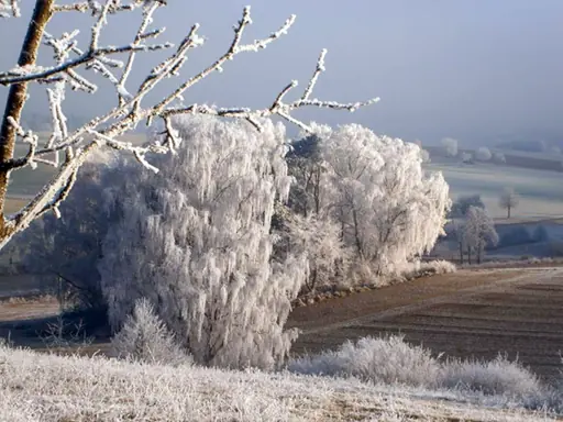 Winter in Bavaria