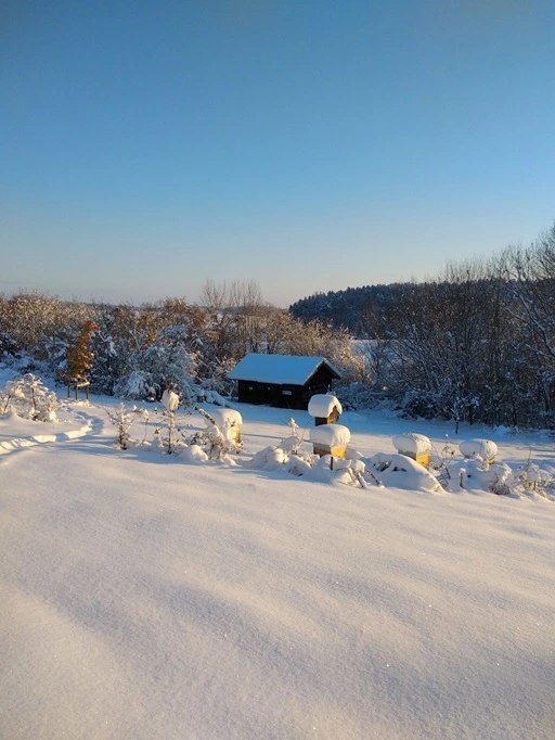 Ein tiny house steht einsam in einer schönen Landschaft. Foto: bio-honig.com