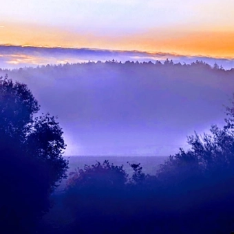 A foggy october forest hillcountry landscape in the hop country of the hallertau with trees, a beehive, and a sunset. Photo: Hans Georg Oswald bio-honig com