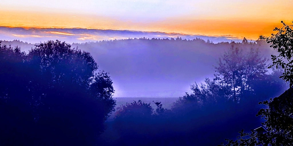 A foggy october forest hillcountry landscape in the hop country of the hallertau with trees, a beehive, and a sunset. Photo: Hans Georg Oswald bio-honig com