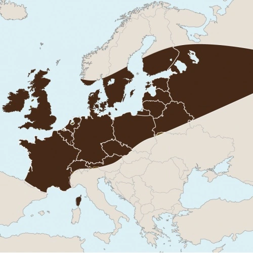 Vorschaubild von der Webseite des Bundesverbandes der Dunklen Biene mit einer Karte, das ursprüngliche Verbreitungsgebiet der Dunklen Biene darstellend.