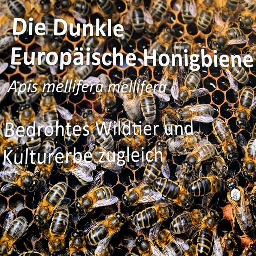 Messebanner des Messestandes des Bundesverbandes Dunkle Biene Deutschland e. V. auf der Berufsimkermesse 