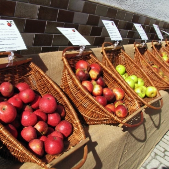 Apfelmarkt in Oberfranken.