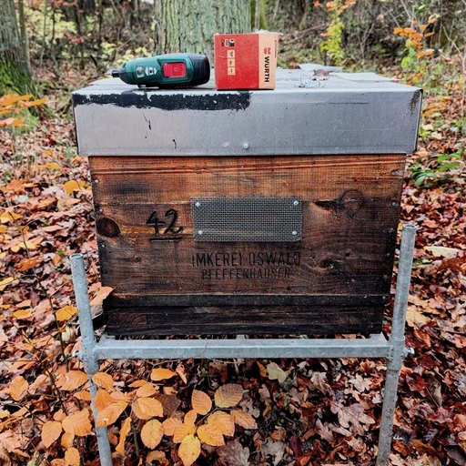 Spechtschutzgitter auf Griffmulden eines Bienenkastens im Wald.