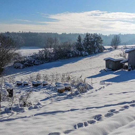 Winterliche Szenerie mit eingeschneiten Bienenvölkern von Imkerei Oswald am Hallertauer Bienenhof in Bayern. Foto: Hans Georg Oswald bio-honig.com