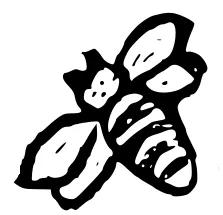 Gezeichnete Biene. Copyright by Imkerei Oswald.