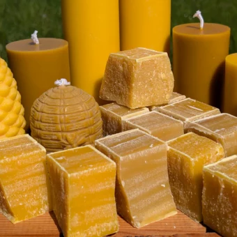 Bienenwachs und Kerzen bequem online kaufen im Direktversandshop von Imkerei Oswald. Auf dem Bild ist sowohl rohes, unverarbeitetes Bienenwachs in Barren bzw. Stücken zu sehen, als auch handgemachte Imker-Bienenwachskerzen, darunter zwei sehr große Bienenwachskerzen, zwei mittelgroße Stumpenkerzen, sowie eine Kerze in Bienenkorbform. Foto: Imkerei Oswald | bio-honig com.