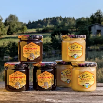 Natur-Honig Oberlauterbach Set 3x Blüte und 3x Wald je 500g | Regionaler Naturhonig-Genuss | Imkerei Oswald