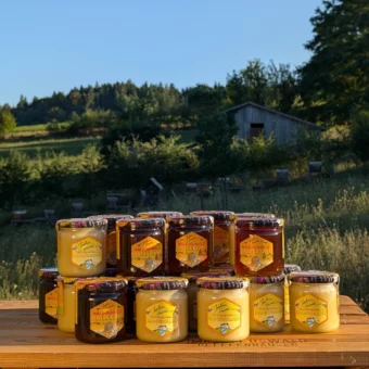 Imker Oswald's Steinriegel Set 16x 500g Blütenhonig und 8x 500g Waldhonig | Praktisches Vorratspaket | Imkerei Oswald