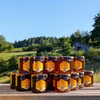 Waldbienenhonig Wildes Land Set 24x 500g | Großes Imkerhonig Familienset | Imkerei Oswald