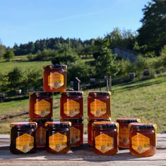 Waldhonig aus der Hallertau Spechtental Set 12 x 500 g | direkt vom Imkermeister | Imkerei Oswald