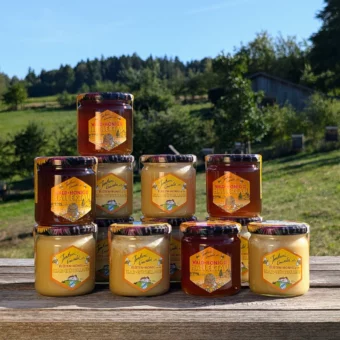 Biohonig vom Imker Tränkbaum Set 8x Blüte 4x Wald je 500g | Aromatische Vielfalt zum Probieren | Imkerei Oswald