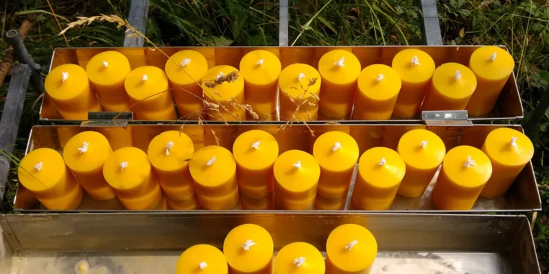 Kleine, handgegossene Stumpenkerzen aus goldgelbem Bienenwachs, aufgereiht in Edelstahl-Bienenwachs-Auffangwannen vom Sonnenwachsschmelzer im Freien auf der Bienenalm von Imkerei Familie Oswald.