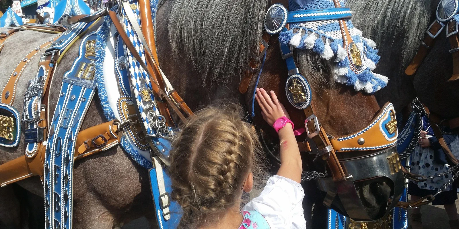 Wiesn-Wortschatz 1810:  Oktoberfest Bairisch, um das Fest und seine Kultur besser zu verstehen | Imkerei Oswald