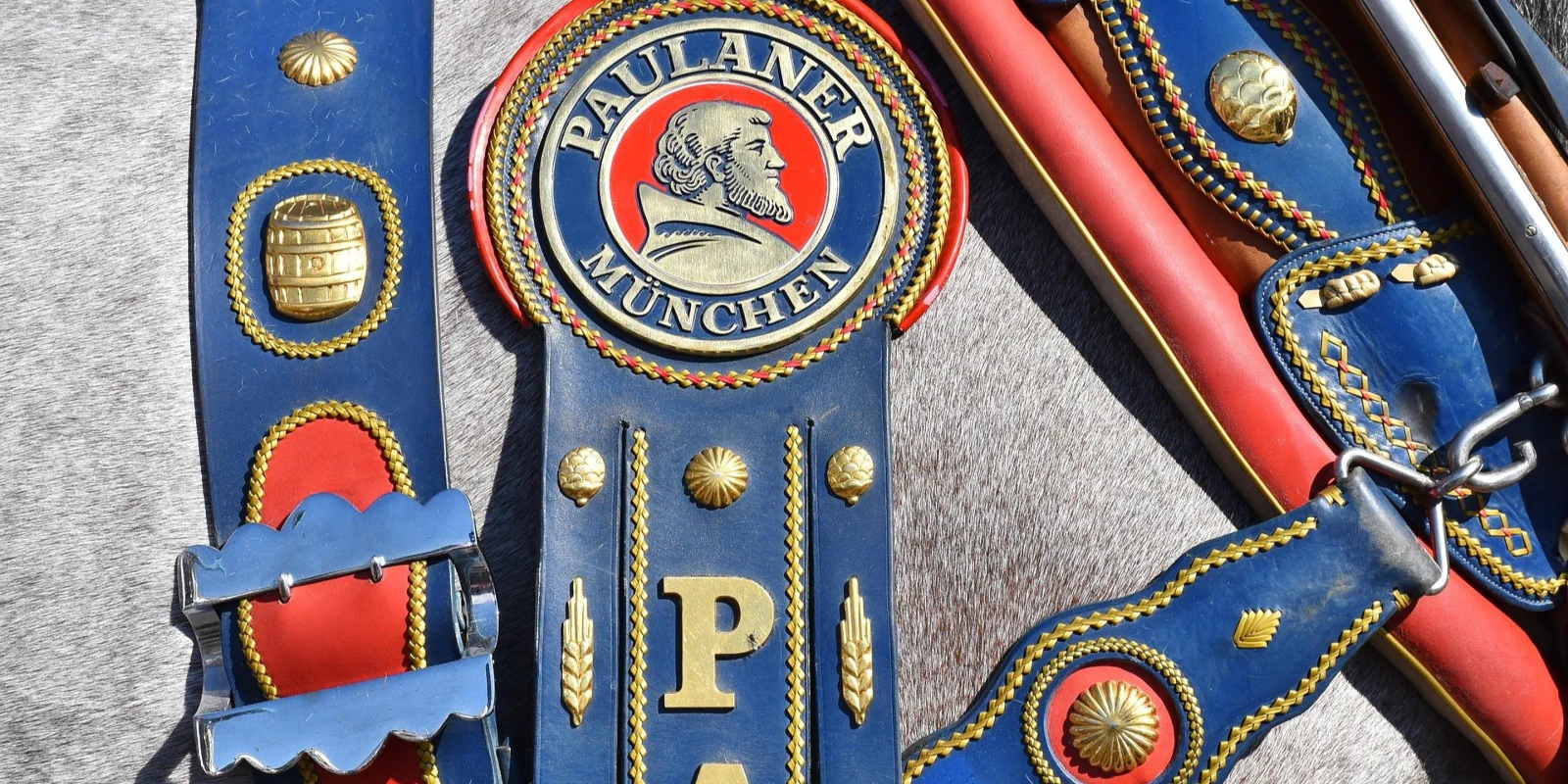 Detailaufnahme des blau-roten Prunkgeschirrs der Paulaner Brauerei mit goldenen Beschlägen und Wappen auf dem dichten, grauen Fell eines bayerischen Kaltblutpferds.